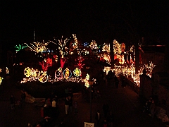 020 Toledo Zoo Light Show [2008 Dec 27]